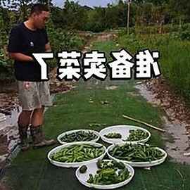 吴宣仪最新动态曝光，娱乐圈黑料再掀热议🔥