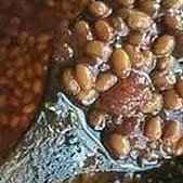 汪小菲风波背后：娱乐圈热点全解析