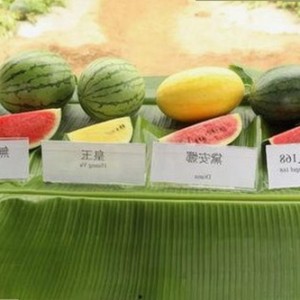 陈楚生晒父子海边合影 温馨互动引热议