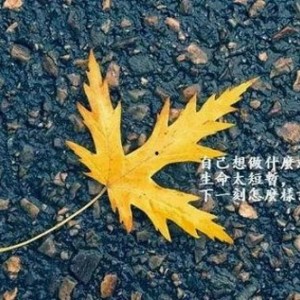 娱乐圈最新热门大瓜，吃瓜群众赶紧围观！🍉