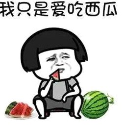 飞机偶遇明星小李,云端上的温暖瞬间