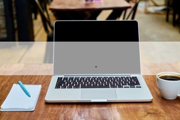 贺峻霖与冯绍峰:演艺与生活的多面探索