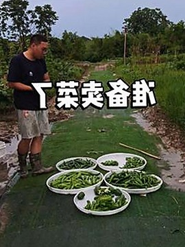 吴宣仪最新动态曝光,娱乐圈黑料再掀热议🔥