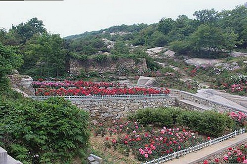 揭秘吃瓜网：从爆料风暴到娱乐热点全记录