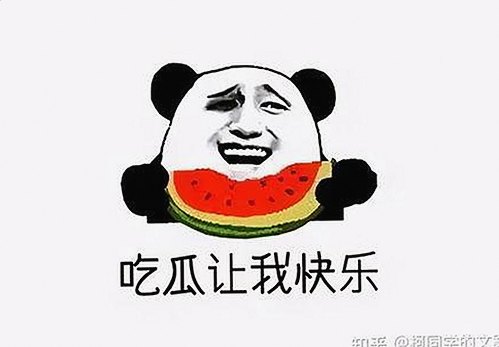 周晓琳与娱乐吃瓜酱：好脾气与实力的双重魅力