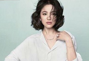 折耳猫变身娱乐圈“吃瓜君”，与明星风波形成鲜明反差