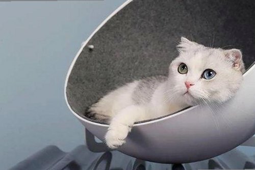 陈楚生晒父子海边合影 温馨互动引热议