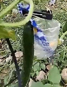 黄景瑜刘浩存：娱乐圈“吃瓜大队”背后的故事与影响