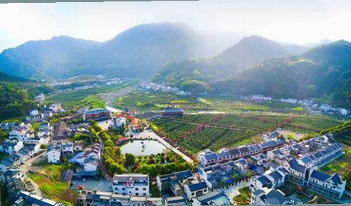 海角大神与花儿姐：从亲密互动到激情爆发的幕后故事