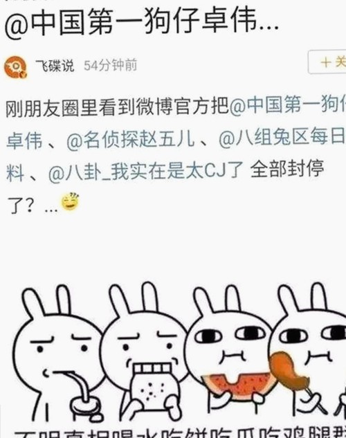 国产视听新时代：从影像到图片的多元演进